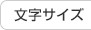 文字の大きさ